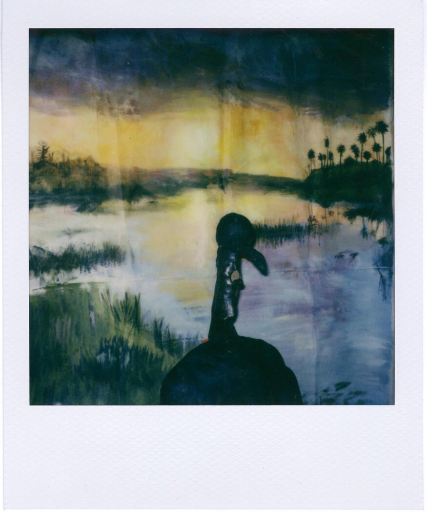 Poloroid